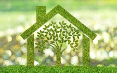 Green mortgages – the ‘what’ and ‘why’ of the greener option.