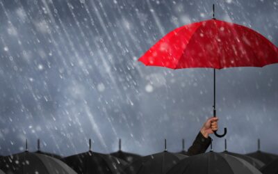 Taking care of the big and little things – Insurance and protection guide for 2023